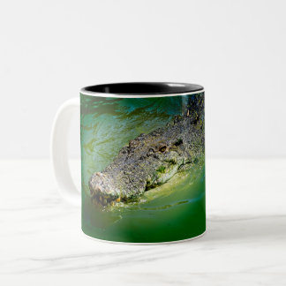 ダーウィンノーザンテリトリー – Crocodile Mug ツートーンマグカップ