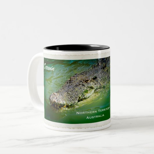 ダーウィンノーザンテリトリー – Crocodile Mug ツートーンマグカップ (正面左)