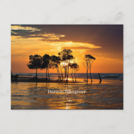 ダーウィンマングローブ ポストカード