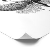 ダーウィン引用文進化 ポスター (角)