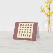 ダーウィン最愛のフジツボ カード (黄色い花)