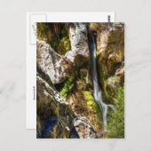 ダーウィン秋 ポストカード (正面/裏面)