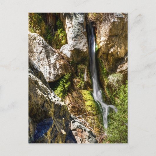 ダーウィン秋 ポストカード (正面)