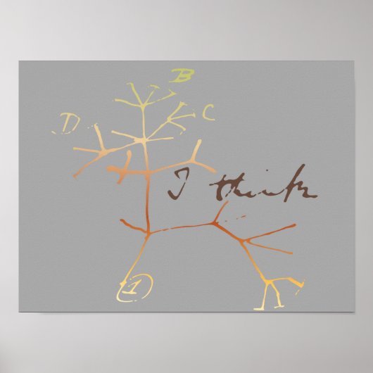 ダーウィン考えの木 ポスター (正面)
