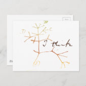 ダーウィン考えの木 ポストカード (正面/裏面)