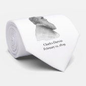 ダーウィン ネクタイ (ロール)