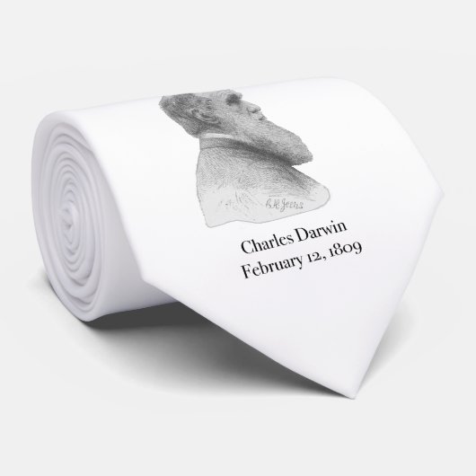 ダーウィン ネクタイ (ロール)