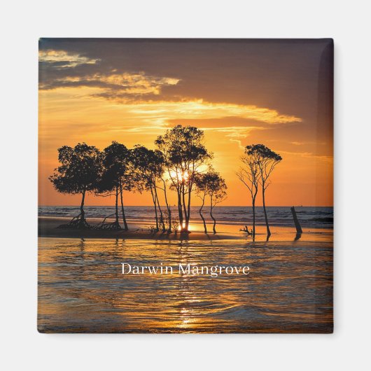 ダーウィン・マングローブ（オーストラリア） マグネット (正面)