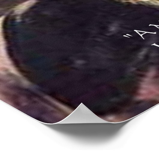 ダーウィン「生命の価値」知恵引用文ポスター ポスター (角)