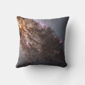 ダークなレーンの塵のクロスCentaurus銀河系。 クッション (裏面)