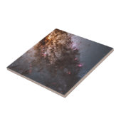 ダークなレーンの塵のクロスCentaurus銀河系。 タイル (側面)