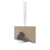 ダークアイドJunco絵画ズ – Bird Artオリジナル キューブオーナメント (右)