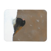 ダークアイドJunco絵画ズ – Bird Artオリジナル マグネット (横)