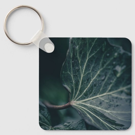 ダークアイビーリーフ自然写真 キーホルダー (正面)