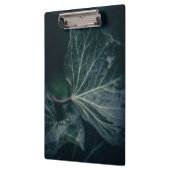 ダークアイビーリーフ自然写真 クリップボード (左)