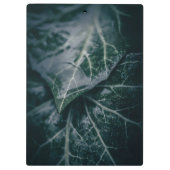 ダークアイビーリーフ自然写真 クリップボード (裏面)