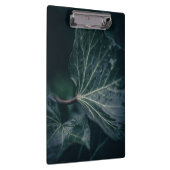 ダークアイビーリーフ自然写真 クリップボード (右)