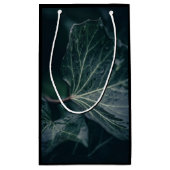 ダークアイビーリーフ自然写真 スモールペーパーバッグ (裏面)