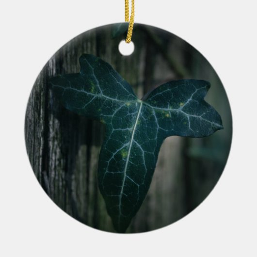 ダークアイビーリーフ自然写真 セラミックオーナメント (正面)
