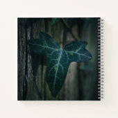 ダークアイビーリーフ自然写真 ノートブック (裏面)