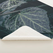 ダークアイビー自然写真 シェルパブランケット (3/4)