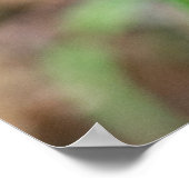 ダークイースタンタイガーアゲハチョウワイルドフラワーポスター ポスター (角)