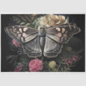 ダークウィング開花 薄葉紙 (正面)