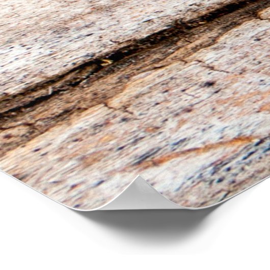 ダークウッドのテクスチャ。抽象芸術背景ヴィンタガーベスト ポスター (角)