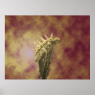 ダークエンジェル ポスター