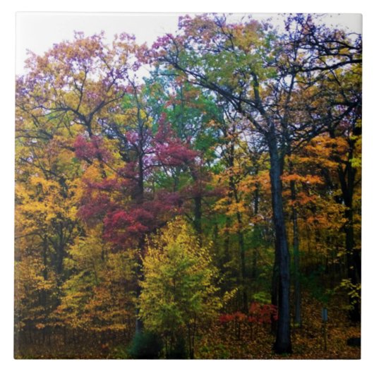 ダークオータムフォレスト タイル (正面)