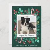 ダークグリーンパピーの初めてのクリスマス写真 シーズンカード (正面)