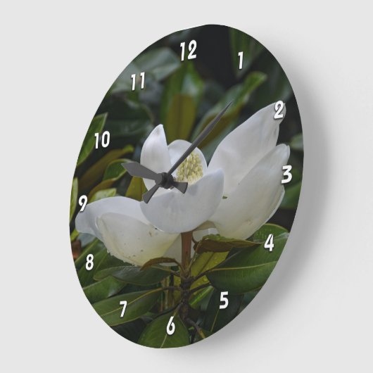 ダークグリーン写真の白いマグノリアの花 ラージ壁時計 (傾斜)