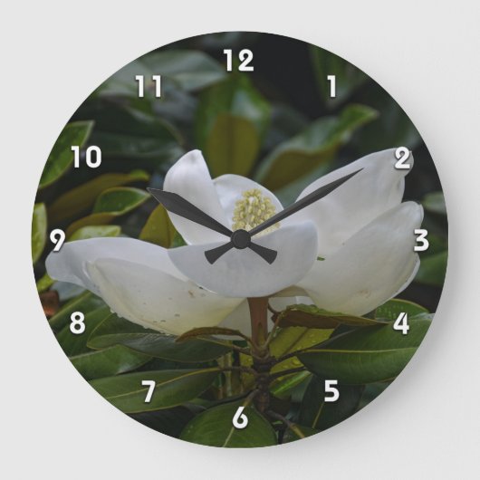 ダークグリーン写真の白いマグノリアの花 ラージ壁時計 (正面)