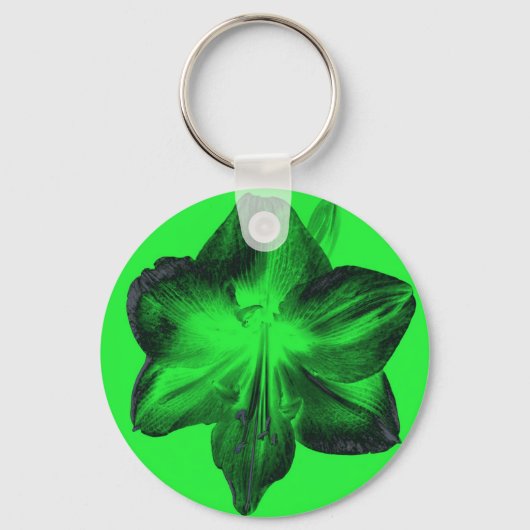 ダークグリーンonライトグリーンAmaryllis キーホルダー (正面)