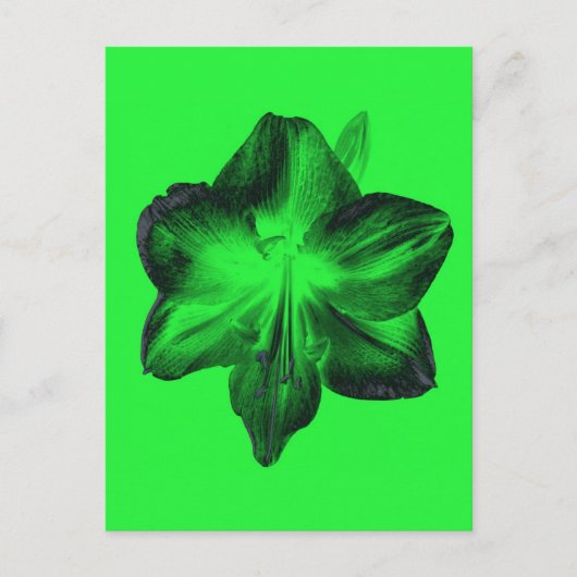 ダークグリーンonライトグリーンAmaryllis ポストカード (正面)