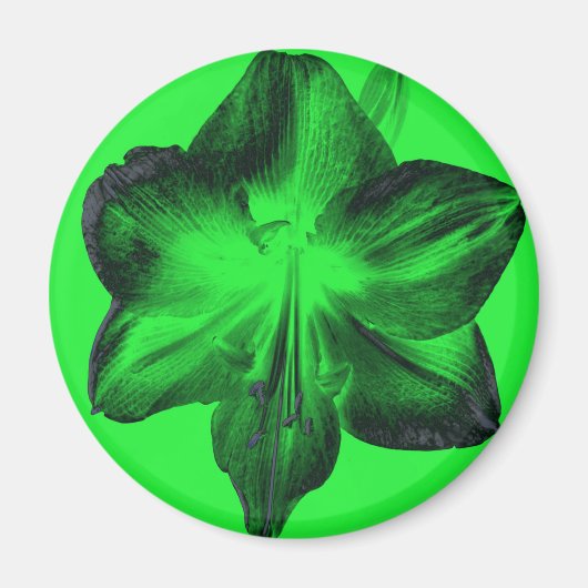ダークグリーンonライトグリーンAmaryllis マグネット (正面)