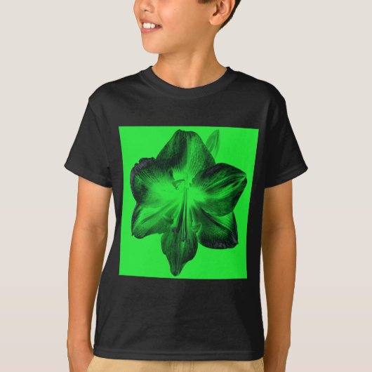 ダークグリーンonライトグリーンAmaryllis Tシャツ (正面)