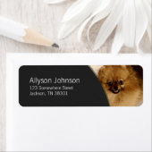 ダークグレーとポメラニア犬フォト住所 シール (インサイチュ)