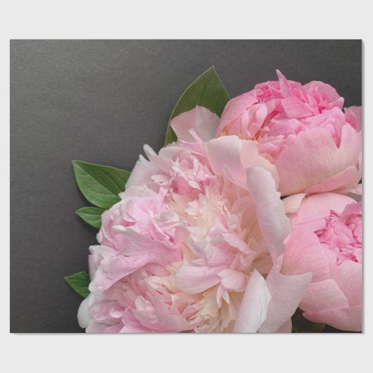 ダークグレーのピンクの牡丹 ラッピングペーパー (フラット)