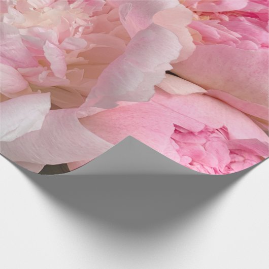 ダークグレーのピンクの牡丹 ラッピングペーパー (角)