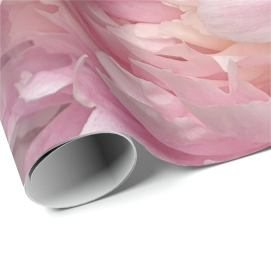ダークグレーのピンクの牡丹 ラッピングペーパー (ロールコーナー)