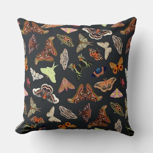 ダークコテージコアモス クッション (正面)