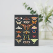 ダークコテージコアモス ポストカード (スタンド正面)