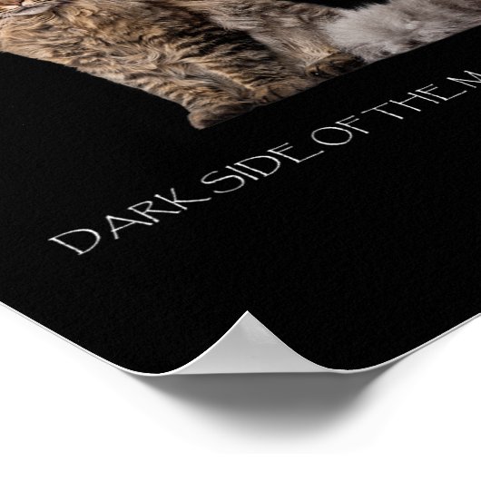 ダークサイドオブザメーヌクーン猫好き ポスター (角)