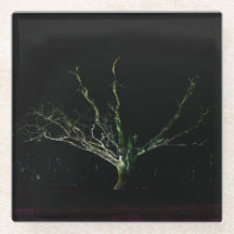 ダークサイド1のコースタクナ