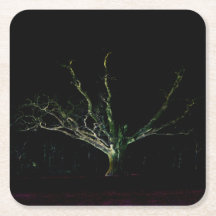 ダークサイド1のコースタクナ