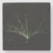 ダークサイド1のコースタクナ ストーンコースター (正面)