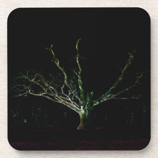 ダークサイド1のコースタクラム コースター (正面)