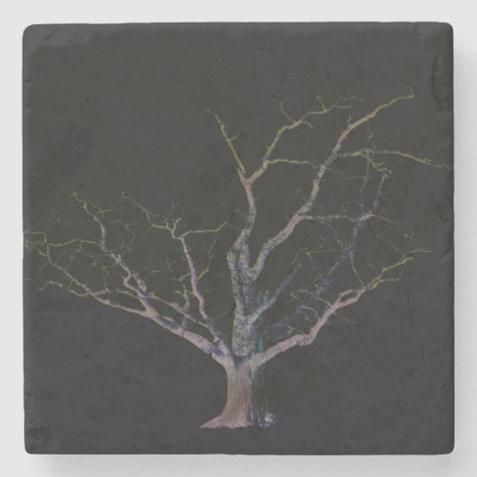 ダークサイド2コースタクナ ストーンコースター (正面)