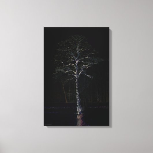 ダークサイド3 16x24 (40x60cm)ワッカ キャンバスプリント (正面)